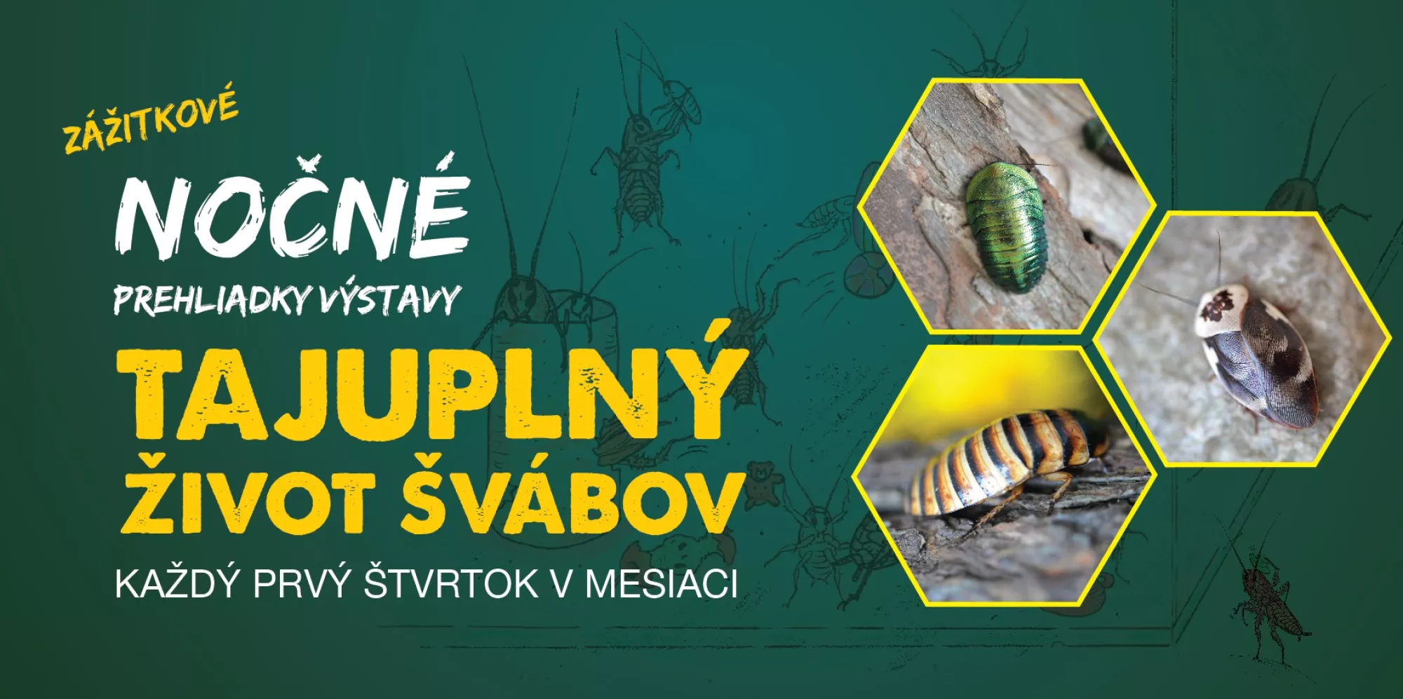 Zážitkové nočné prehliadky výstavy - Tajuplný život švábov