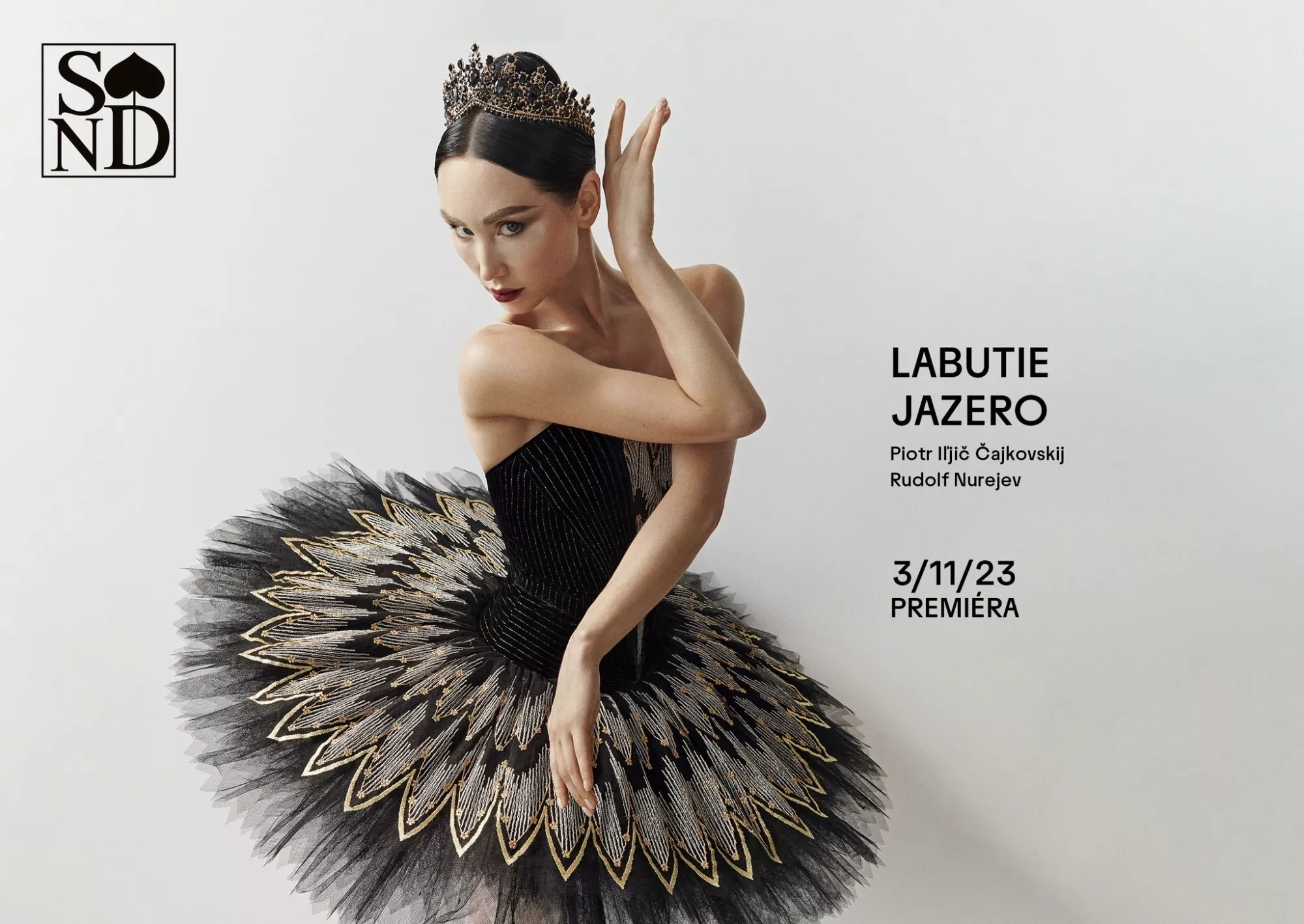 Labutie jazero