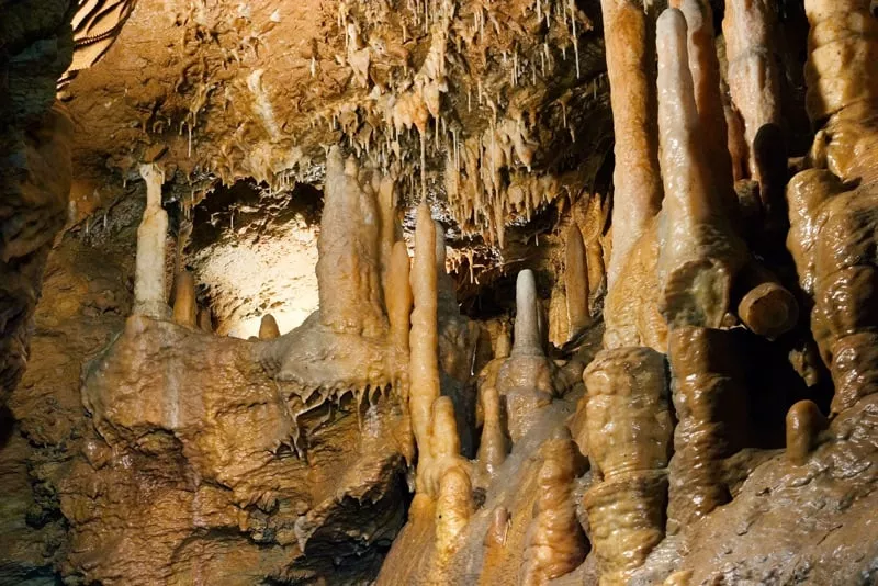 Prehliadka v jaskyni Driny