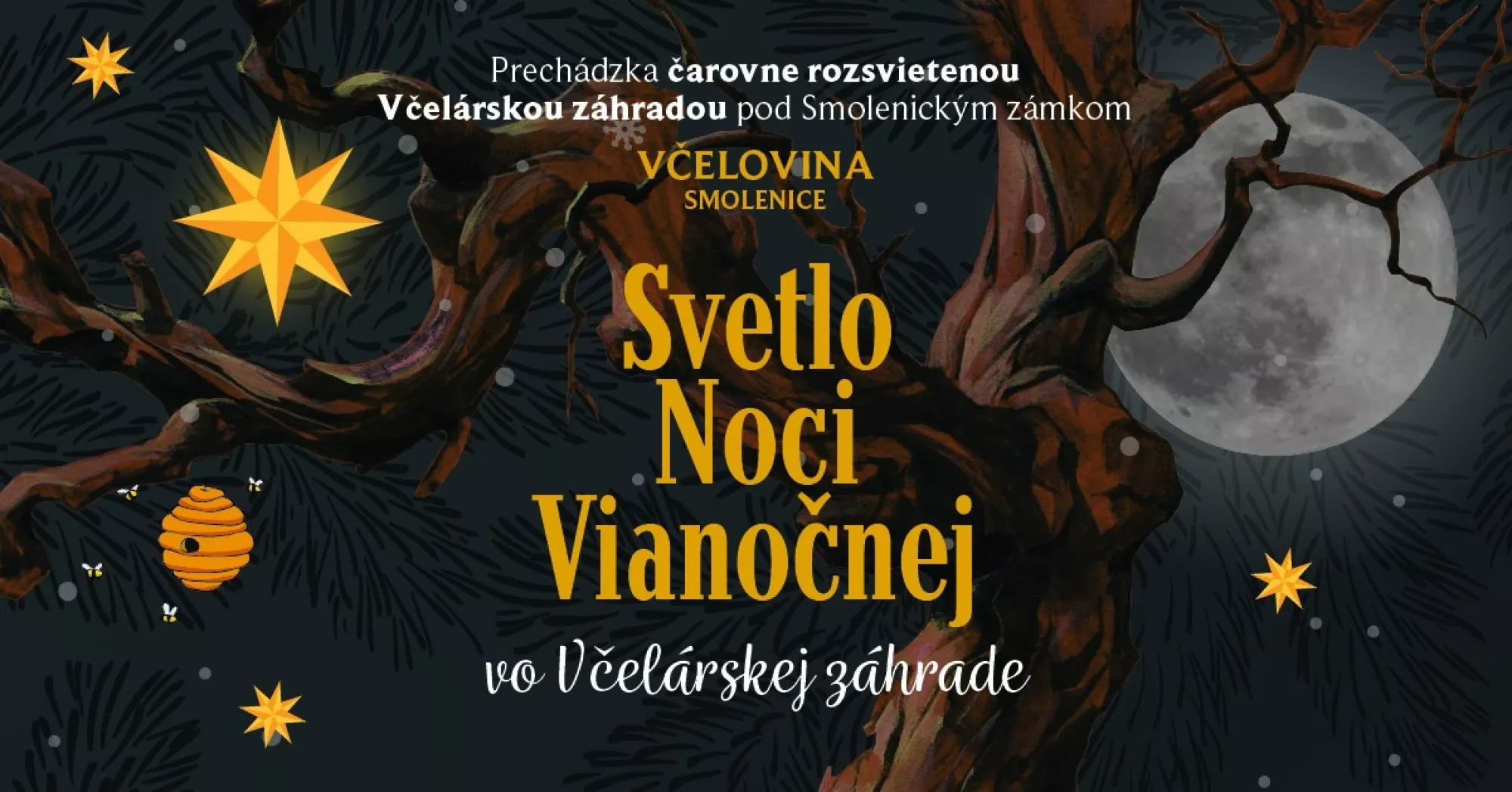 Svetlo Noci Vianočnej
