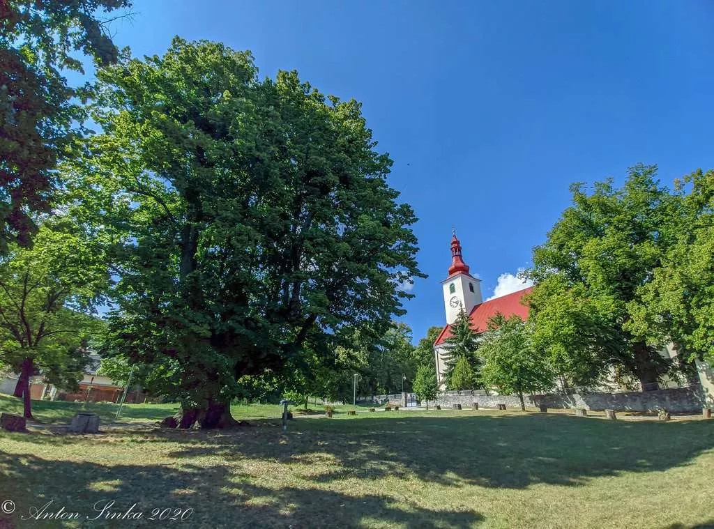 Pohlad na areal Smolenickeho zamku