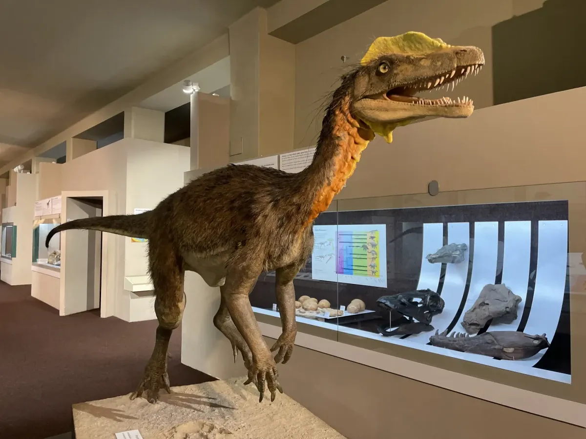 Prírodovedné múzeum dinosaurus