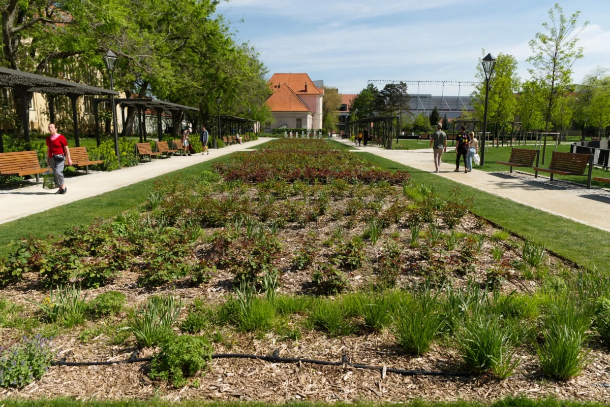 Ružový park Trnava