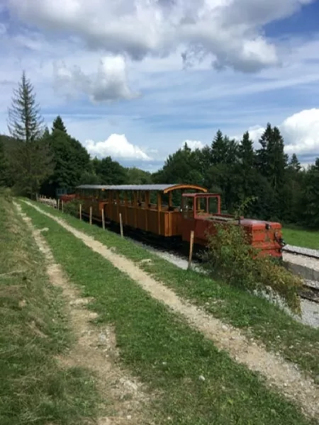 Vlak na trati v prirode