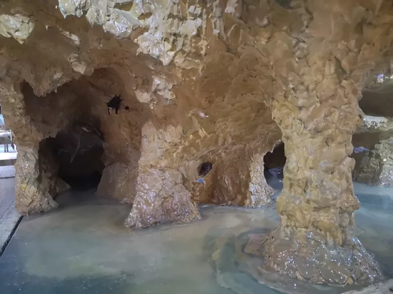 Jaskyna a netopier