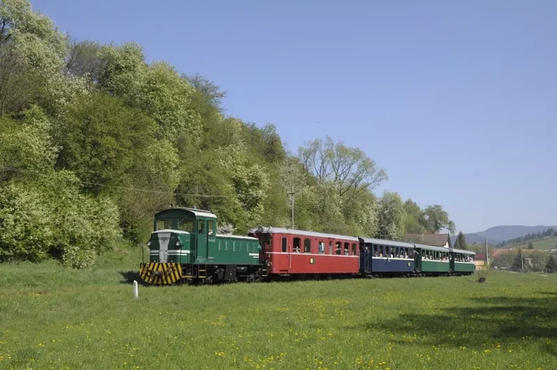 Vlak a les v pozadi