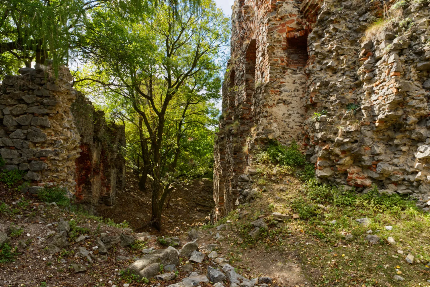 zachovale casti hradneho mura v objati lesa