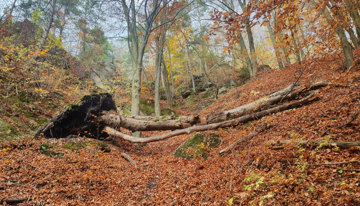 hrad Hričov trasa