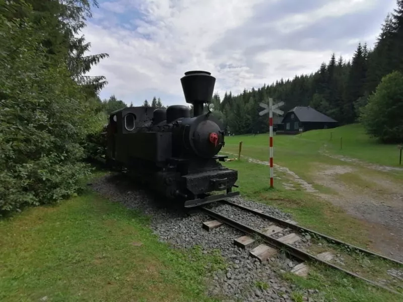 Lesnicky skanzen - lokomotiva