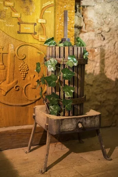 Expozicia v muzeu vin