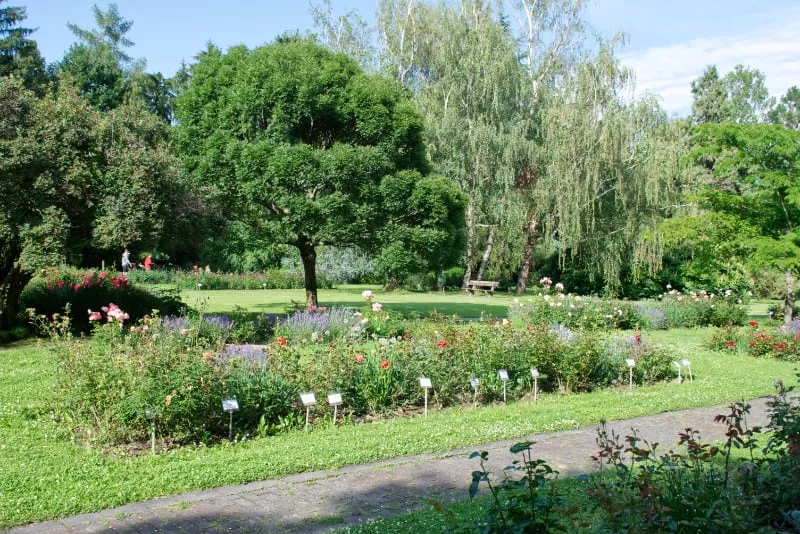 Areal botanickej zahrady
