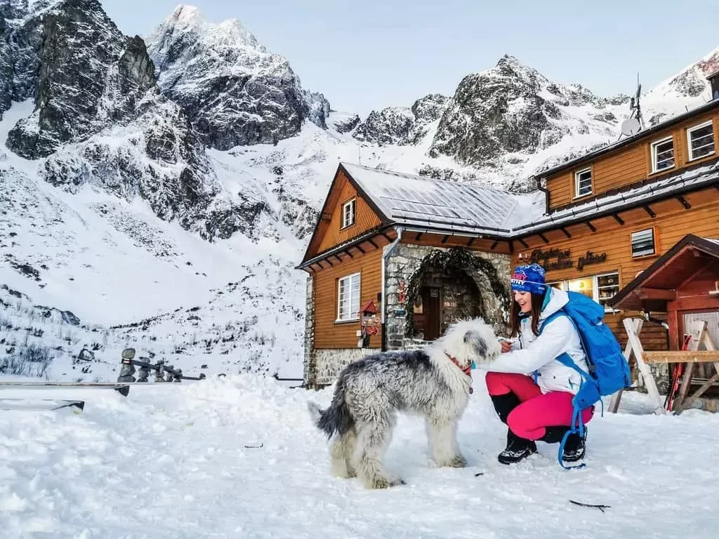 chata pri zelenom plese v zimnom obdobi a pes bruno