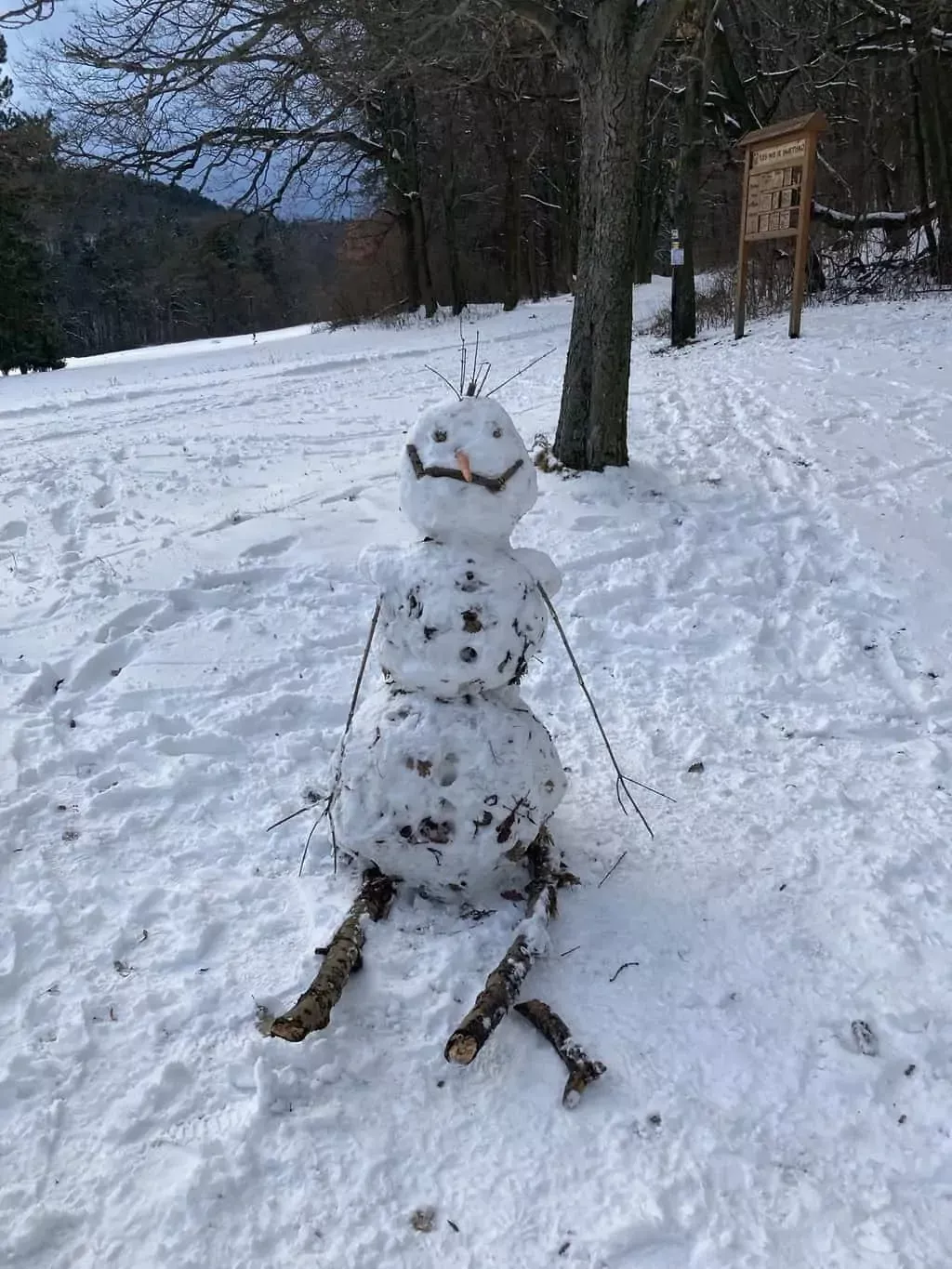 Smolenice snehuliak