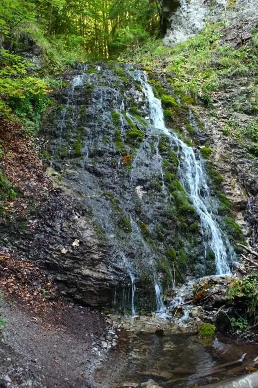 Naucny chodnik Cutkovska dolina - jamisne vodopady