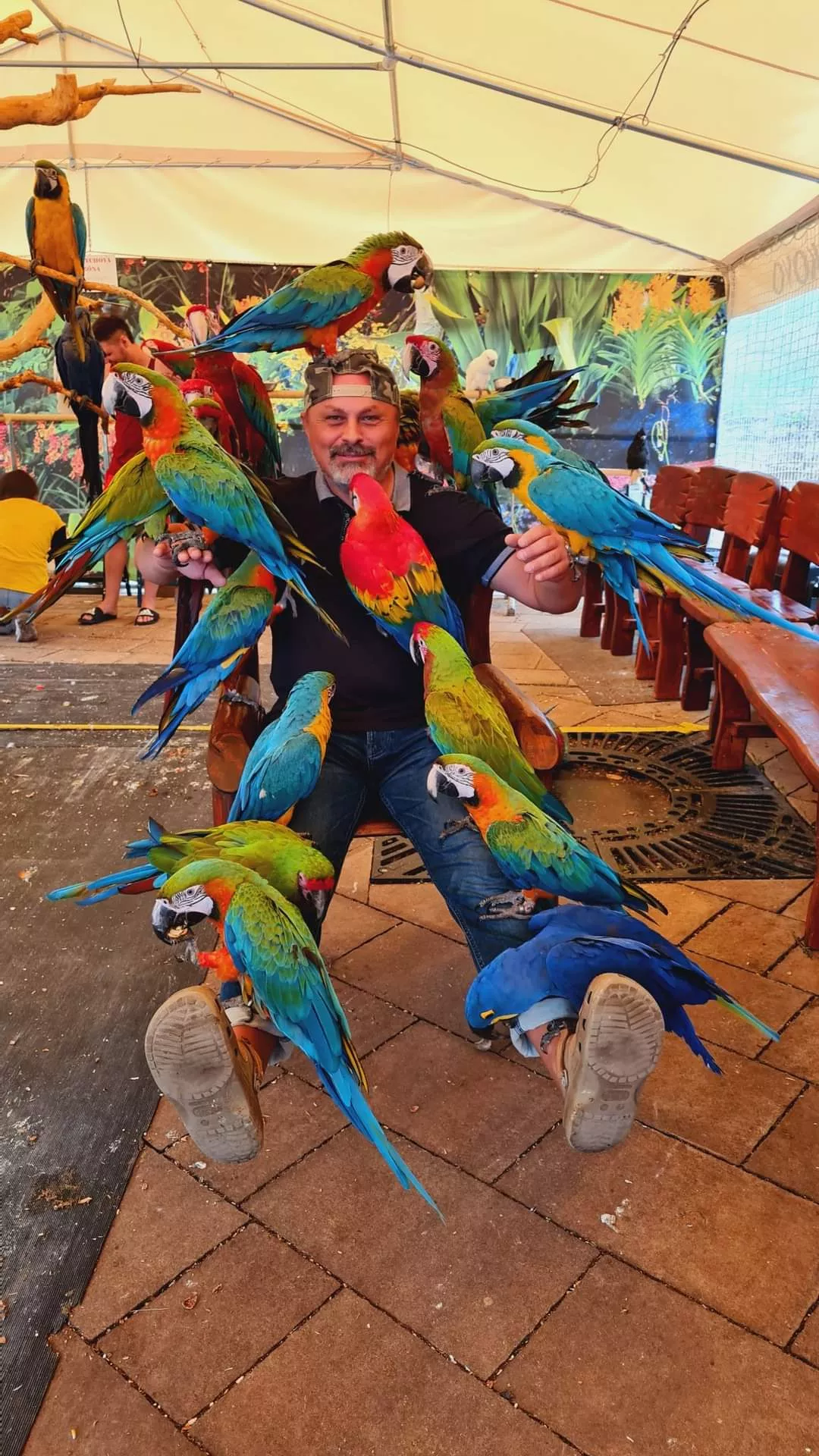 arakovo chlap s papagajmi na sebe
