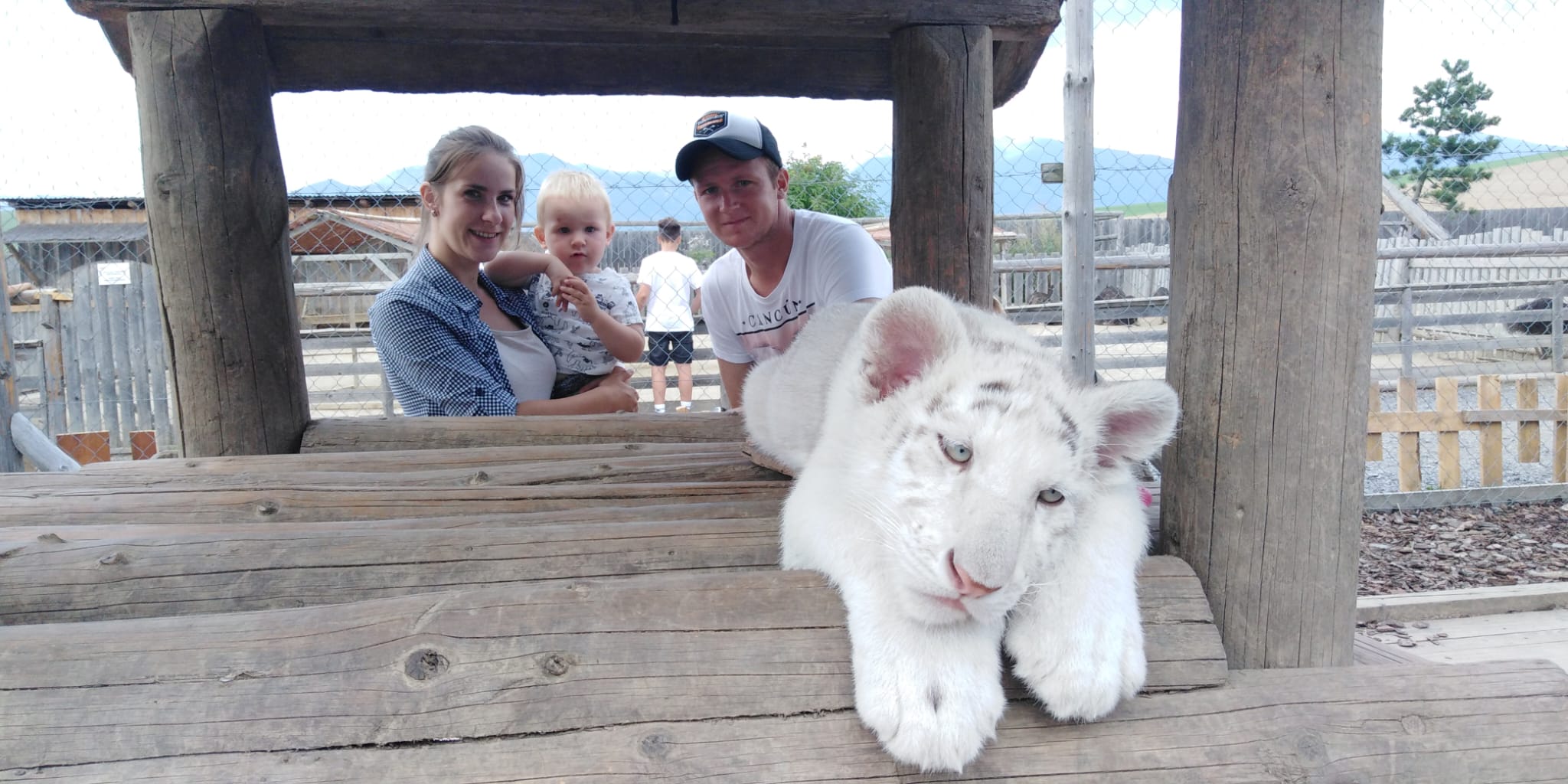 zoo kontakt - rodina s tigrom