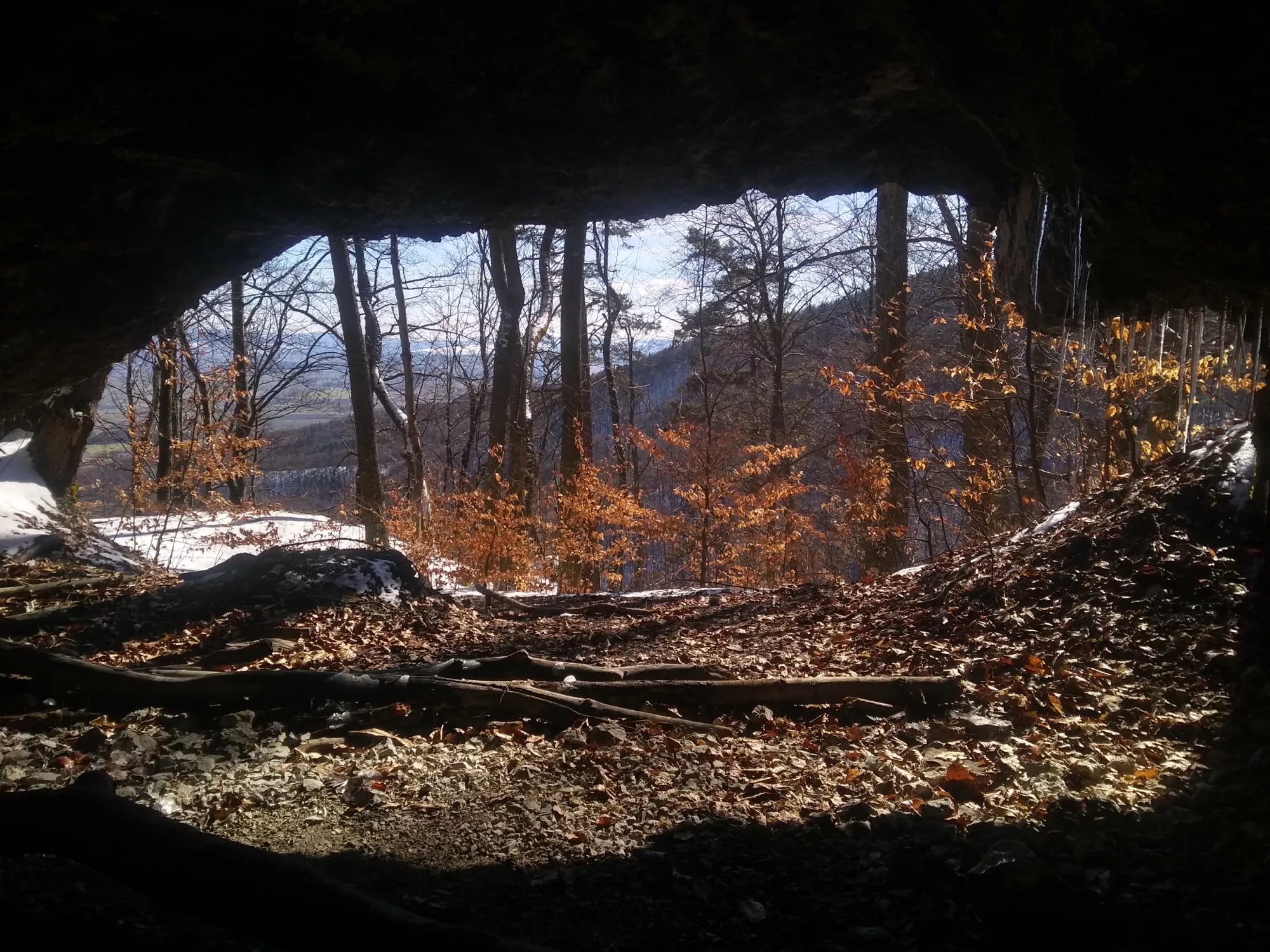 Jaskyna a vyhlad z nej do lesa