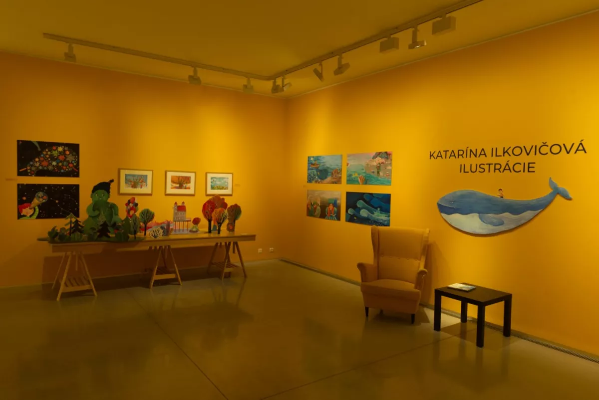 Danubiana - výstava v interieri