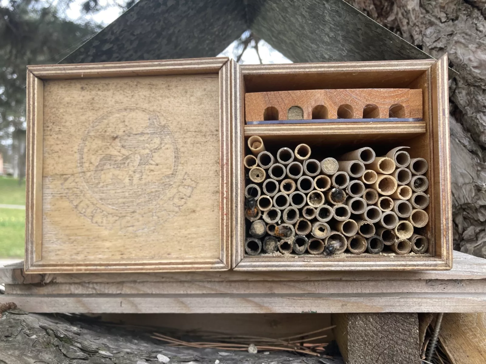 EKOROK S NESTLÉ SLOVENSKO ,,OTVORME OČI“
DEŇ ZEME