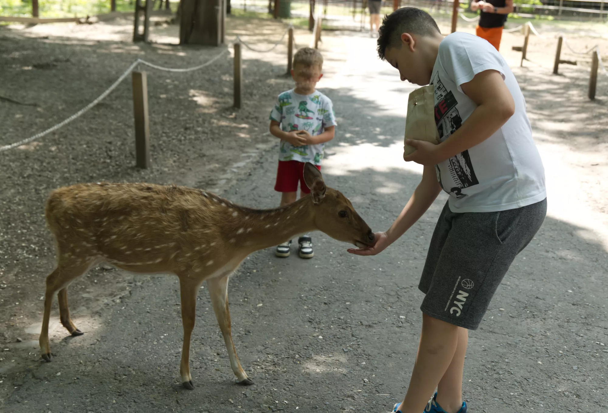 Zoo Győr (©miribord)