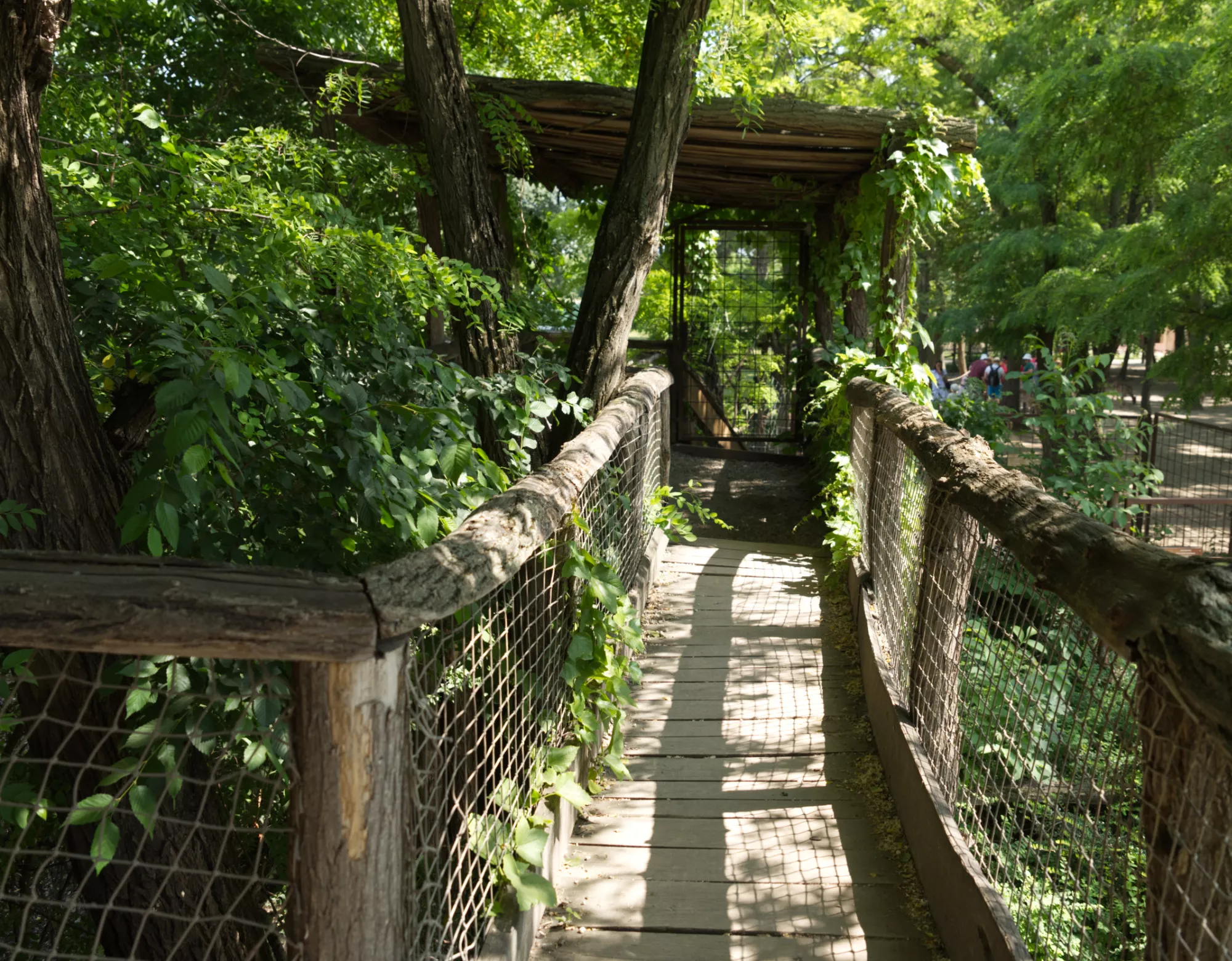 Zoo Győr (©miribord)