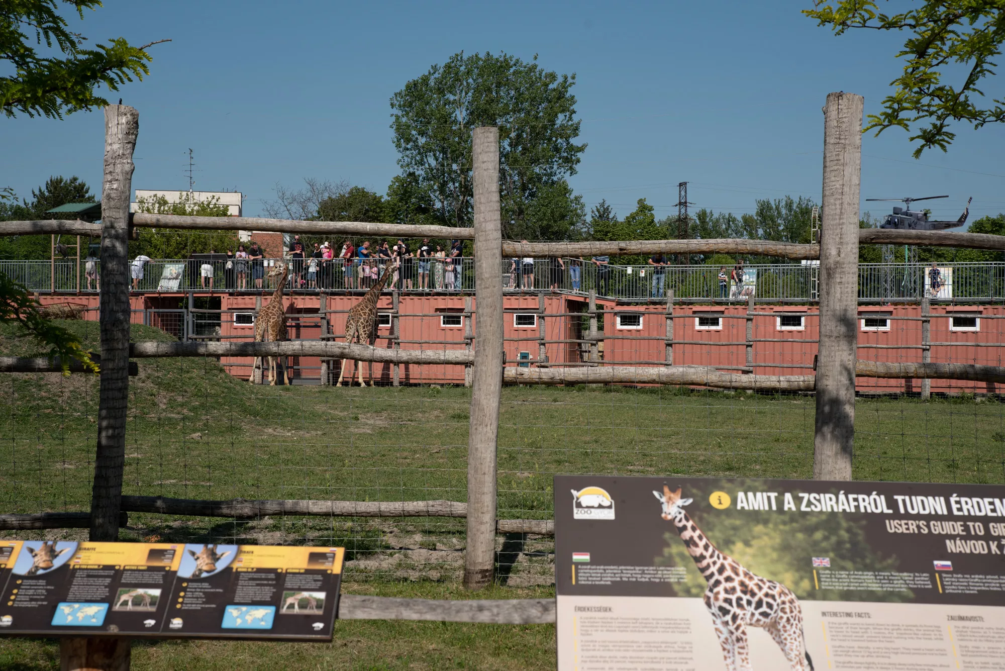 Zoo Győr (©miribord)