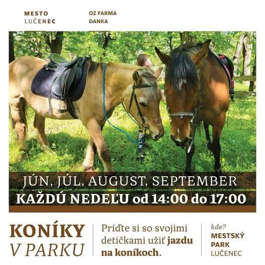 Koníky v parku