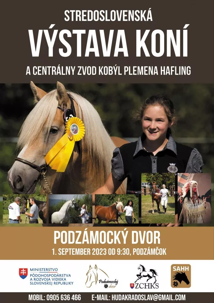 Stredoslovenská výstava koní